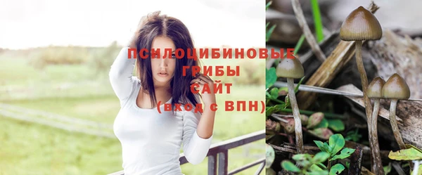 соль курить ск Бугульма
