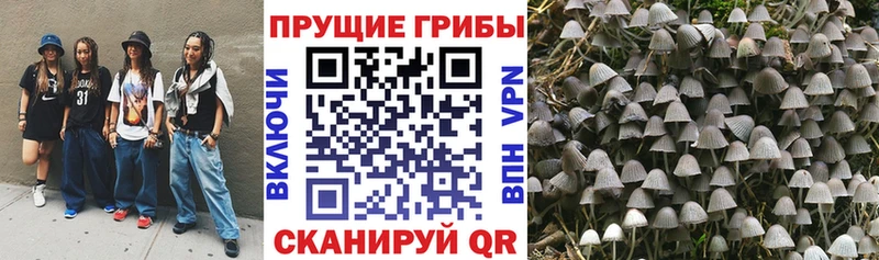 Галлюциногенные грибы мицелий  Ростов 